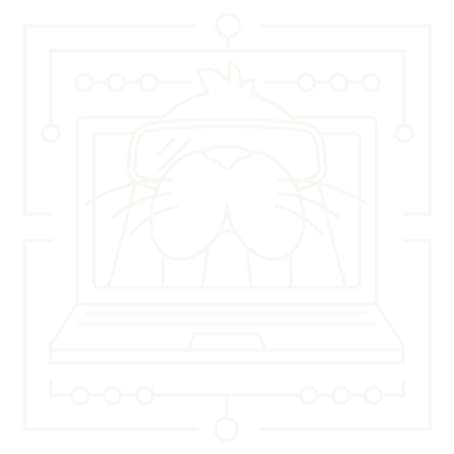 Getting Started with Walrus
